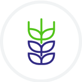 Alt Image
